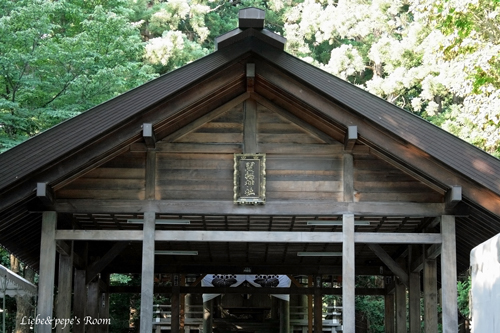 f0001895_19485244.jpg