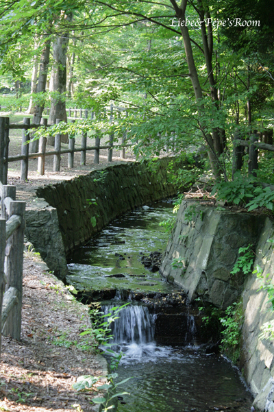 f0001895_19512077.jpg