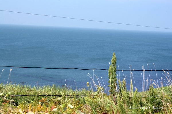 f0001895_20295969.jpg