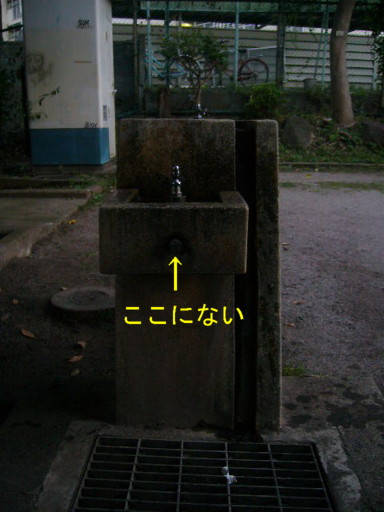 d0070702_87746.jpg