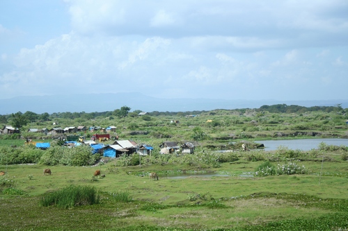 d0131006_22531387.jpg