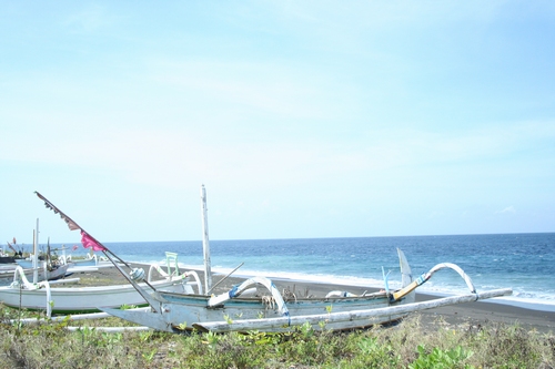 d0131006_2395664.jpg