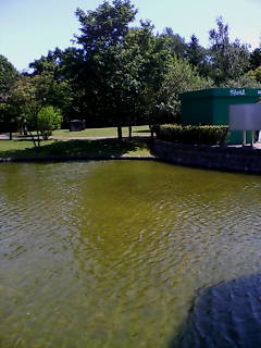 a0011808_013326.jpg