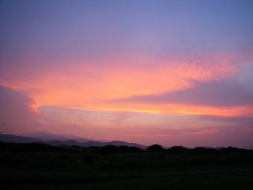 e0123808_22475.jpg