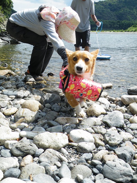 c0127617_17142037.jpg