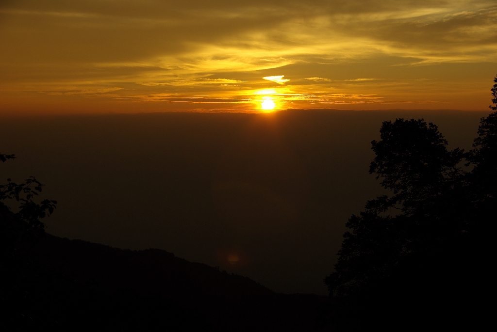 b0062024_8173526.jpg