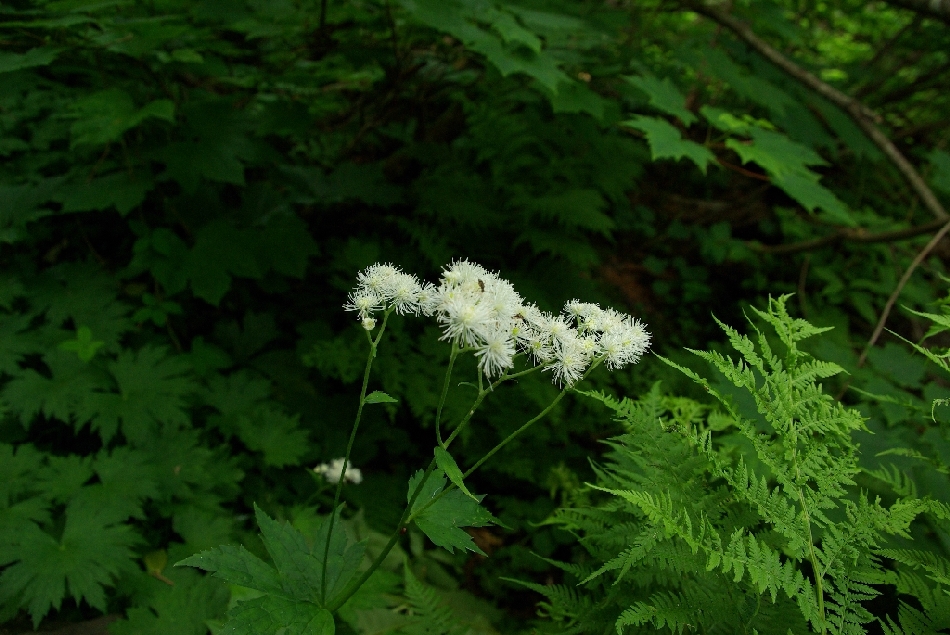 b0062024_8361763.jpg