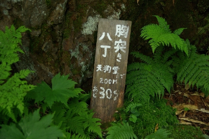 b0062024_8382693.jpg