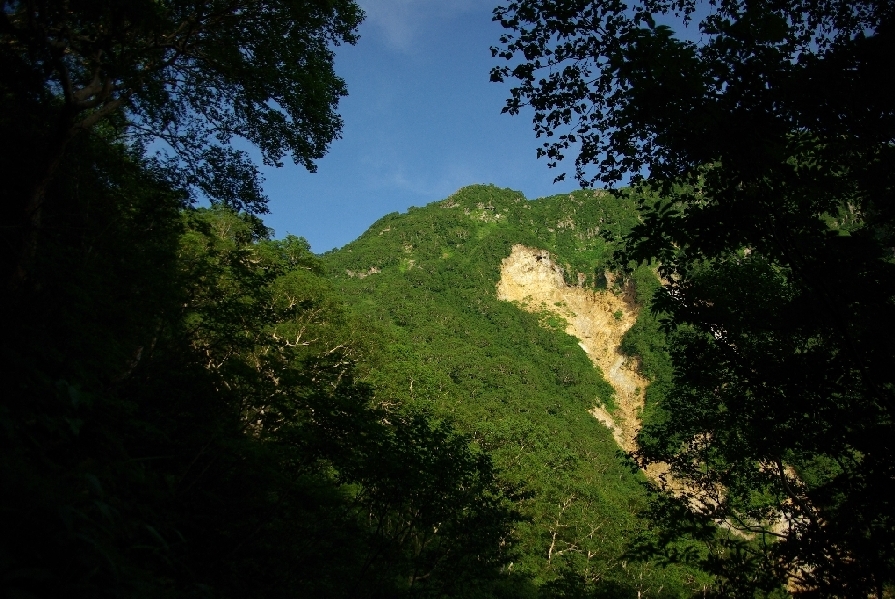 b0062024_8402847.jpg