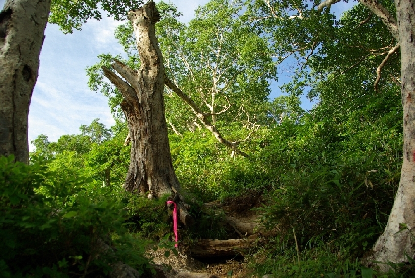 b0062024_843269.jpg