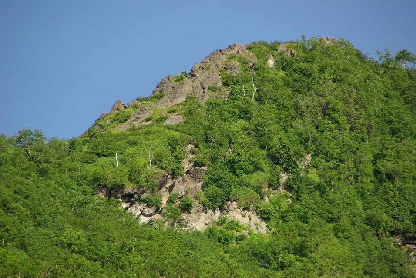 b0062024_8442274.jpg