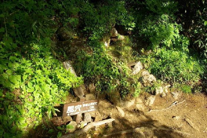 b0062024_8455130.jpg