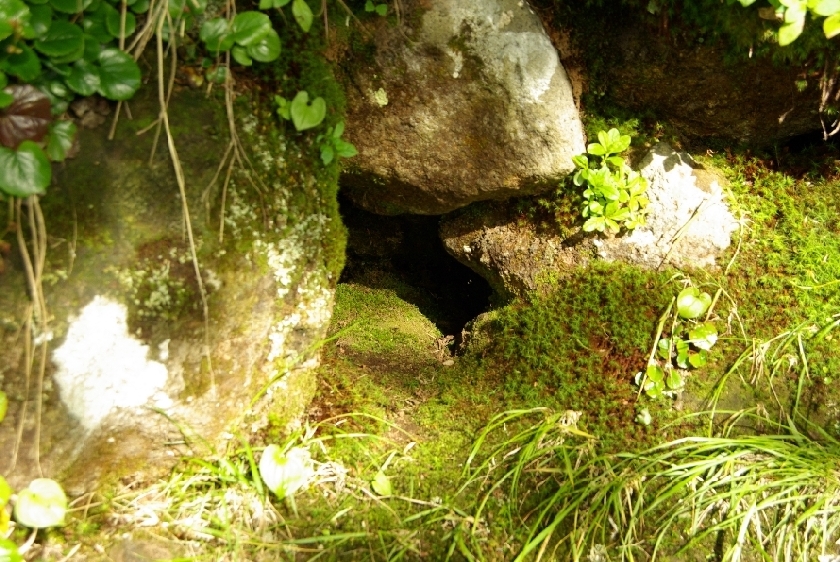 b0062024_846410.jpg