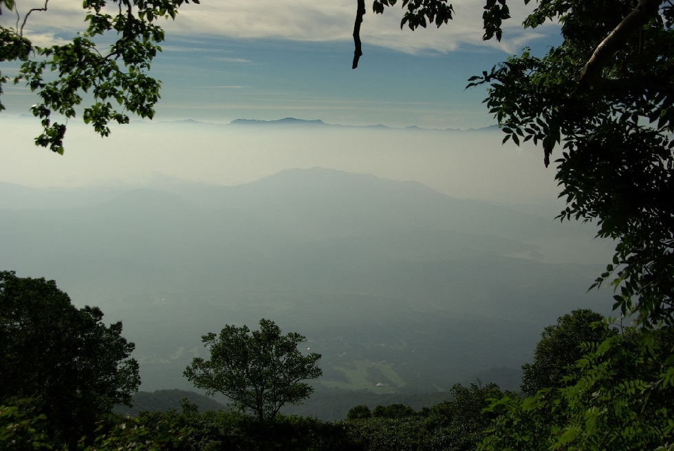 b0062024_8465997.jpg