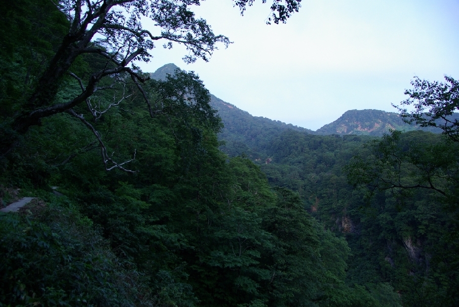 b0062024_875654.jpg