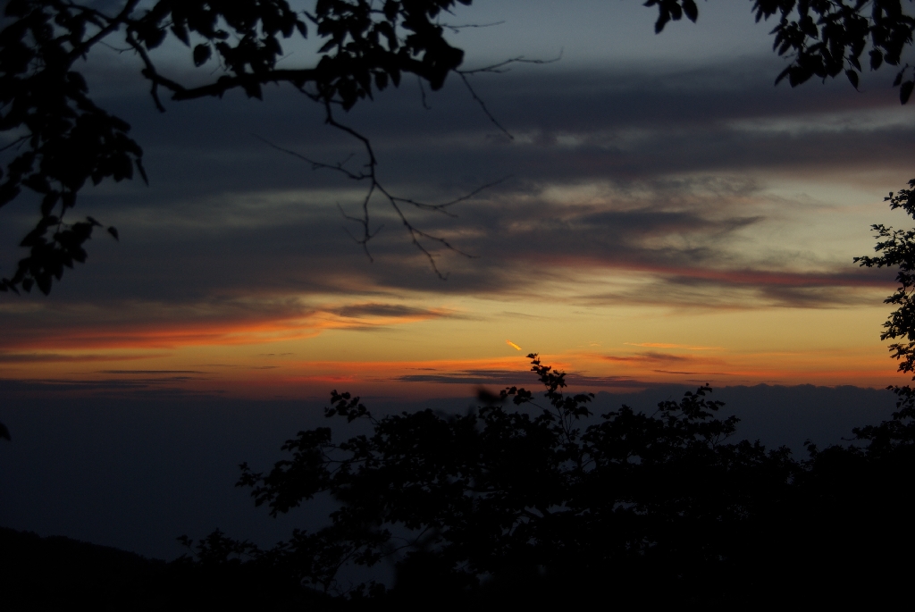 b0062024_885976.jpg