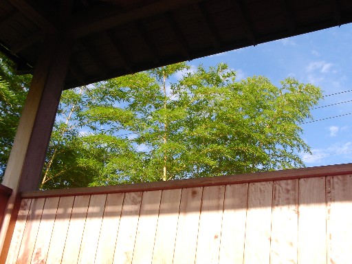f0002833_21105083.jpg