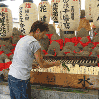 d0033734_11582860.gif