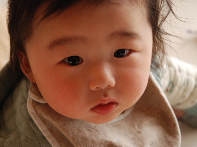 d0077035_1423462.jpg
