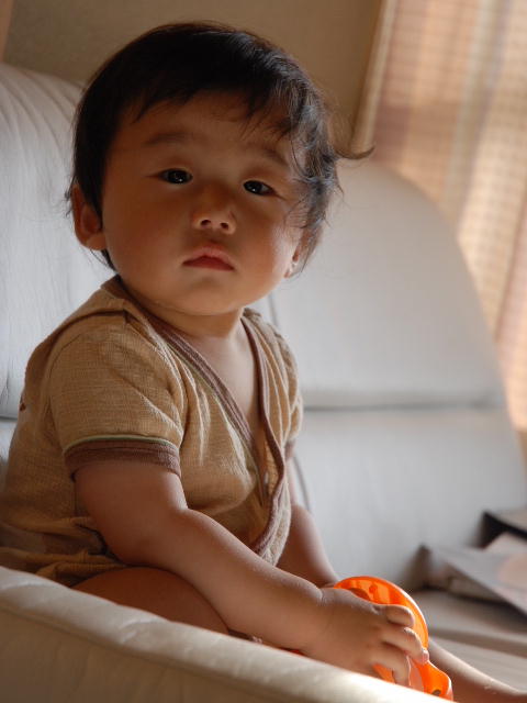 d0077035_14355893.jpg