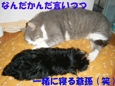 f0008935_2405782.gif