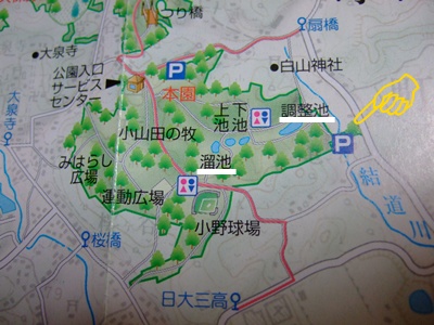 小山田緑地地図