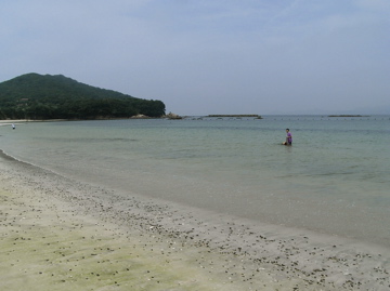 f0066646_1844192.jpg