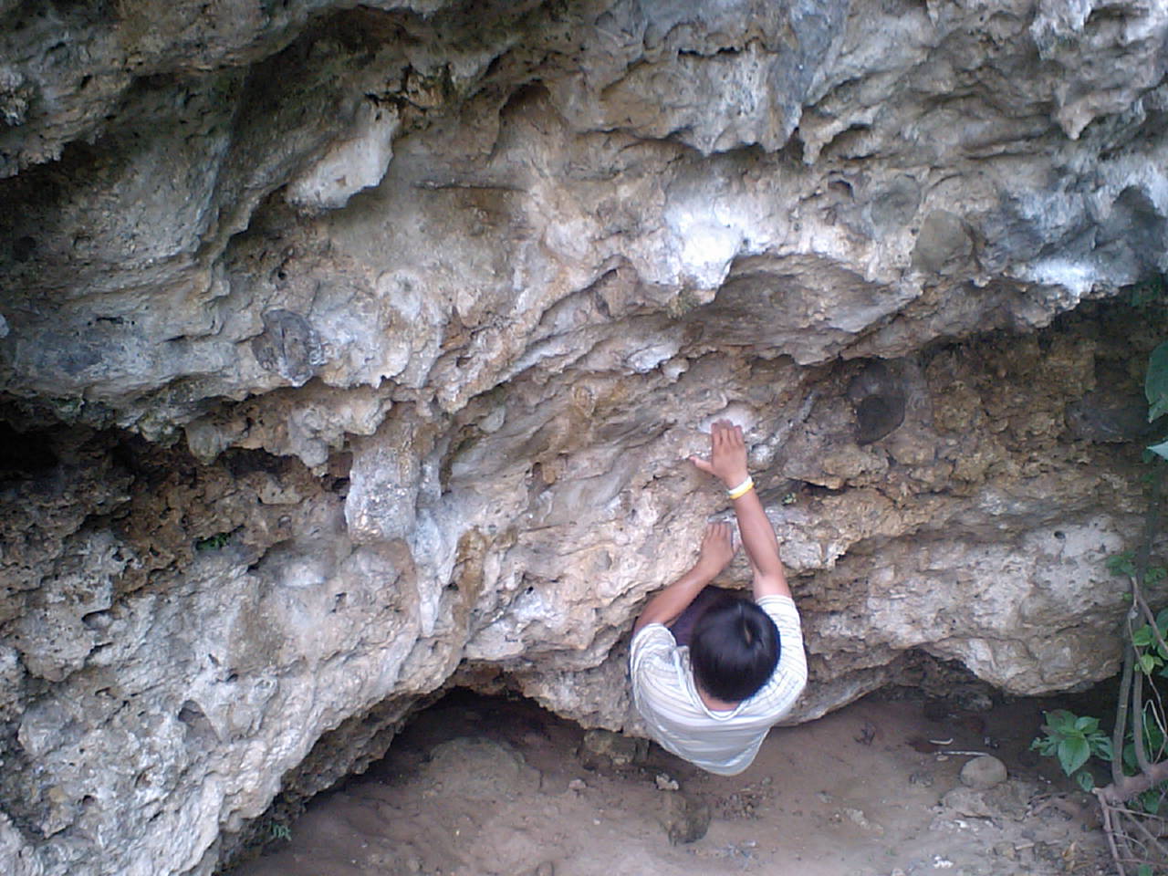 e0134752_21545910.jpg