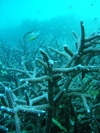 b0062363_204714100.jpg