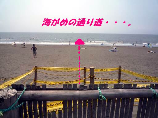 a0104464_16494263.jpg