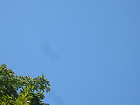 c0027965_28298.jpg