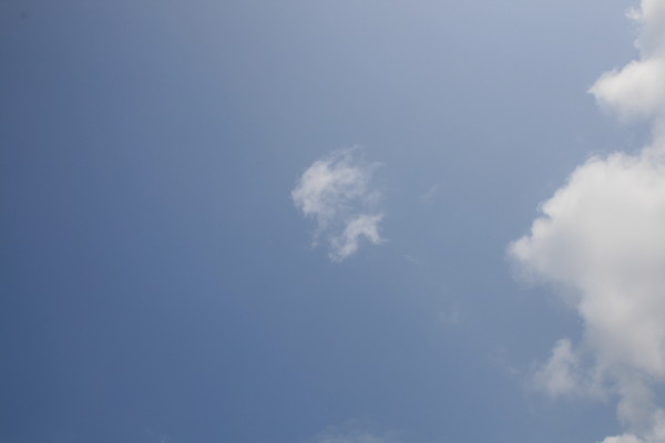 e0114977_1111929.jpg