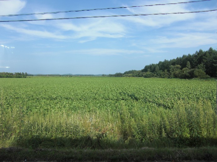 e0027681_233968.jpg