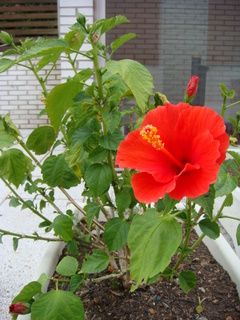 b0131786_9185272.jpg