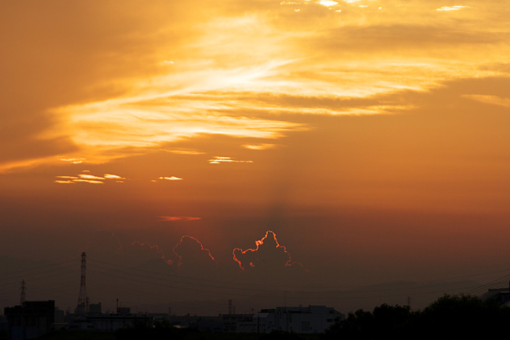b0067789_21175133.jpg