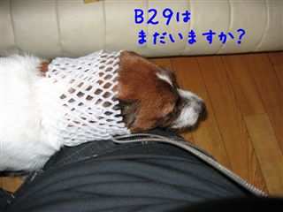 e0121589_12563570.jpg