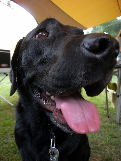 a0093592_2336433.jpg
