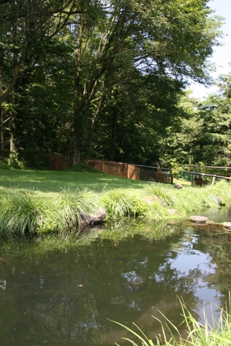 f0128092_22374444.jpg