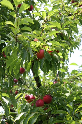 f0128092_2239237.jpg