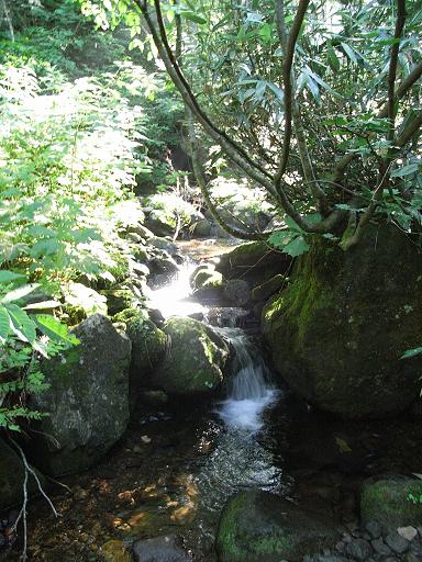 b0116703_2048175.jpg