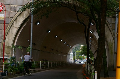 a0024005_1561587.jpg