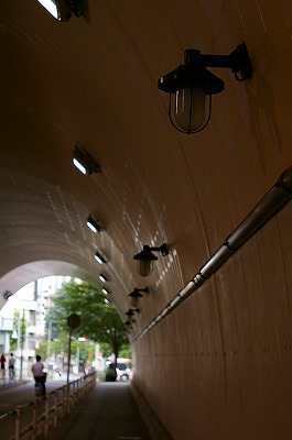 a0024005_1564767.jpg