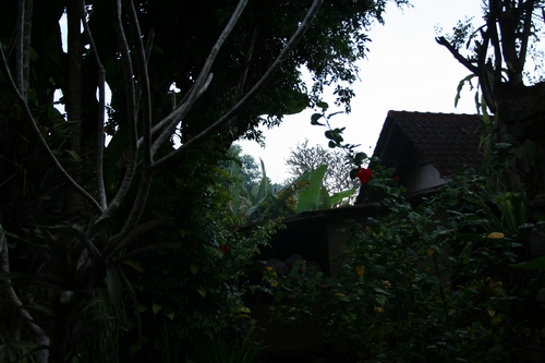 d0131006_081422.jpg