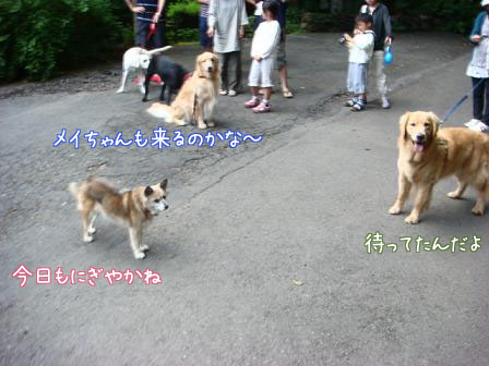 f0064906_17575677.jpg