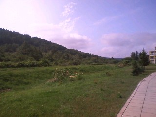 f0006510_22224572.jpg
