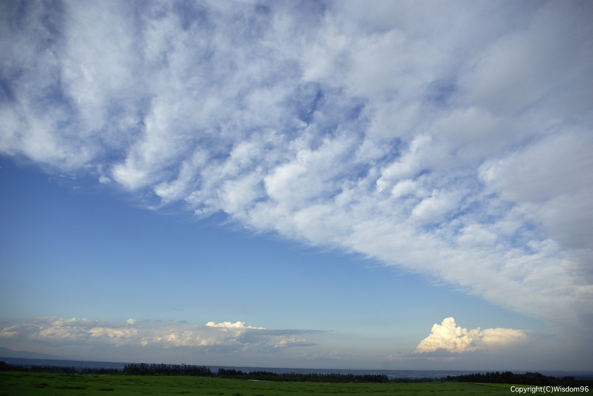 e0142611_122545.jpg