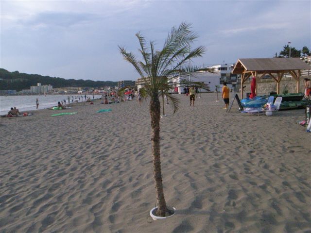 c0056315_22565779.jpg