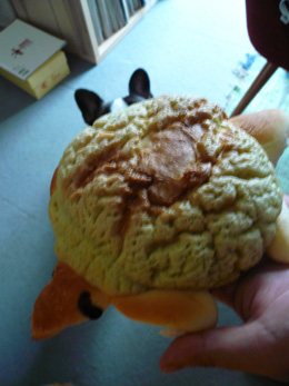 c0144016_1052811.jpg