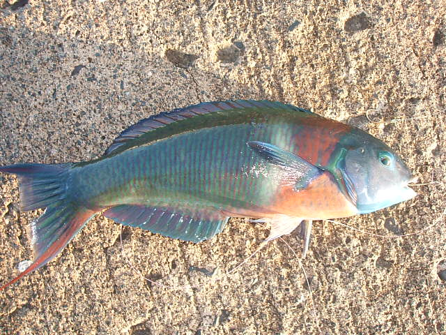 f0054720_19465016.jpg