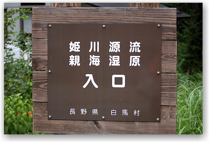 d0083623_11291636.jpg